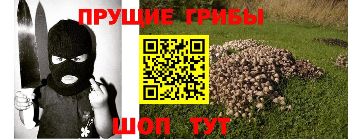 Галлюциногенные грибы мицелий  купить наркотик  Псилоцибиновые грибы Cubensis  Урюпинск  Вход с VPN 